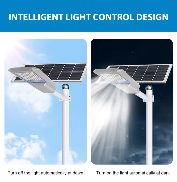 H22a0323f67fa4da496b205c5525f3254s